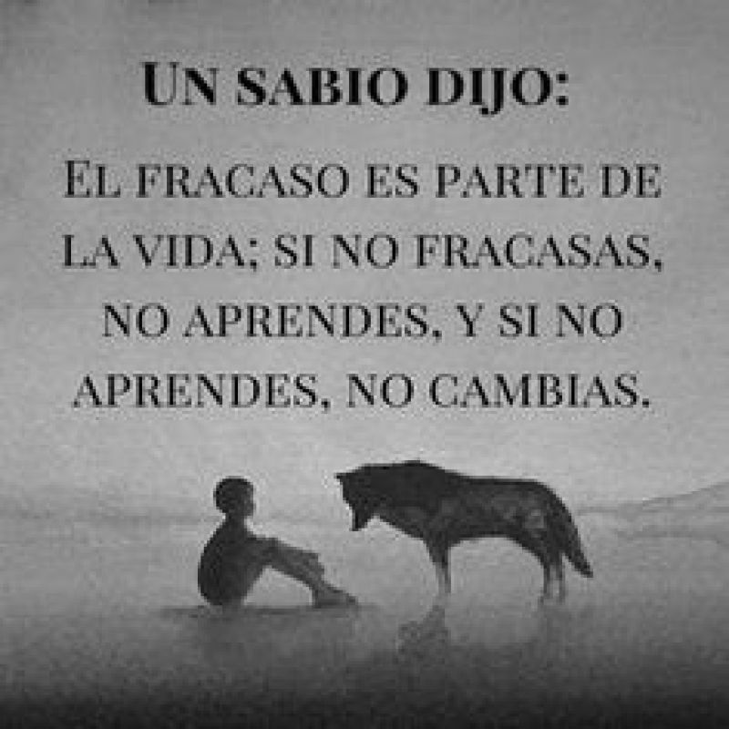 el fracaso es parte de la vida.jpg